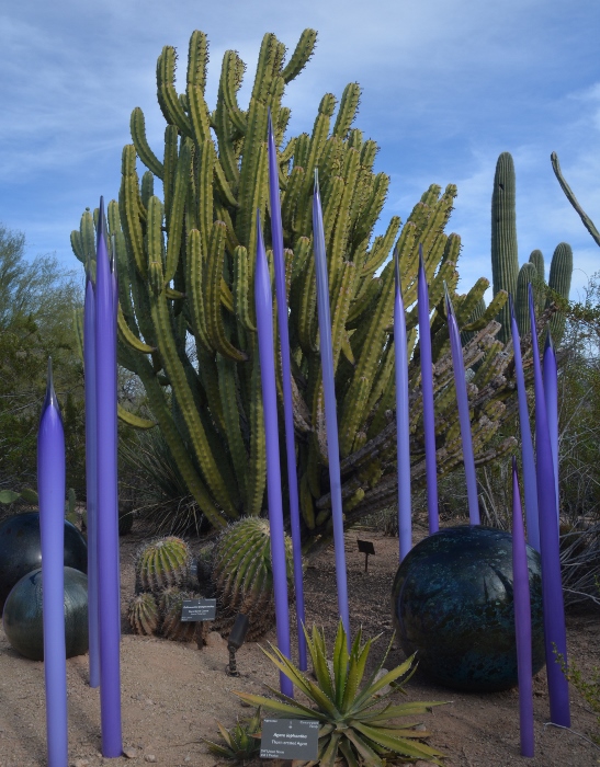 Called Neodymium Reeds